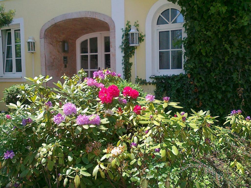 Gaestehaus Auerhahn Vöcklabruck Екстериор снимка